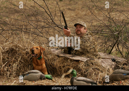 Jäger Jagd Wasservögel mit roten Lab Stockfoto