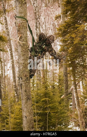 Bowhunter im Baum Sattel Zeichnung Bogen Stockfoto