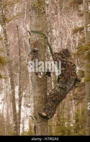 Bowhunter im Baum Sattel Zeichnung Bogen Stockfoto