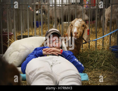 Toronto, Ontario, Kanada. 6. November 2016. Eine Mädchen Nickerchen in einem Stall mit seiner Konkurrenz Ziege während einer Pause in ihrem Zeitplan an der Royal Agricultural Winter Fair in Toronto, Ontario am Sonntag, 6. November 2016. Das Royal verfügt über mehr als 2.000 landwirtschaftlichen Wettbewerben mit mehr als 5.000 Tiere, handgemachten Käse, Ontario Weine und riesigen Gemüse. Bildnachweis: Peter Power/ZUMA Draht/Alamy Live-Nachrichten Stockfoto