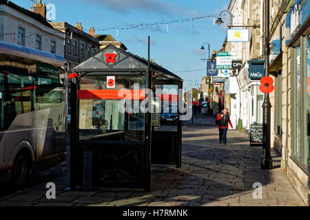 Warminster, Wiltshire, UK. 7. November 2016.  Handgestrickte Mohn im Markt Stadt von Warminster, Wiltshire, zum Gedenken an britischen und Commonwealth gefallen Soldaten Credit: Andrew Harker/Alamy Live News Stockfoto