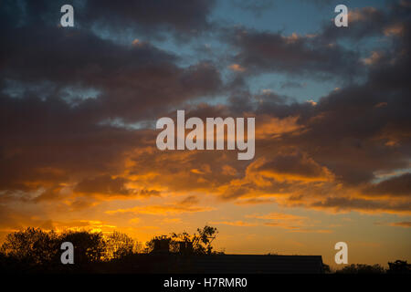 Wimbledon, London, UK. 7. November 2016. Dramatische und farbenfrohen Sonnenuntergang mit orange leuchtenden Wolken über SW London. Bildnachweis: Malcolm Park Leitartikel/Alamy Live-Nachrichten Stockfoto