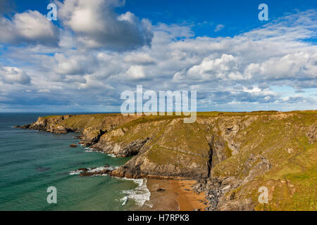 Bedruthan Steps, St Eval, Cornwall. 7. November 2016. Park-Kopf sonnen sich in herrliche Licht vor dem Starkregen in Cornwall kommt. Sintflutartiger Regen Prognose für den späten Abend und morgen. Bildnachweis: Barry Bateman / Alamy Live News Stockfoto