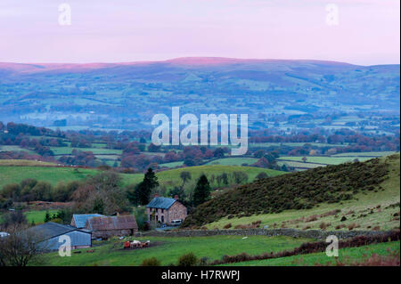 Llandrindod Wells, Powys, Wales, UK. 8. November 2016. Die Morgensonne beginnt zu leuchten auf eine Powys-Landschaft in der Nähe von Llandrindod Wells, Powys, Wales, UK. nach einer Nacht mit Temperaturen um den Gefrierpunkt fallen. Bildnachweis: Graham M. Lawrence/Alamy Live-Nachrichten. Stockfoto