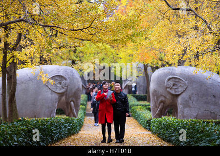 Nanjing, China Jiangsu Provinz. 8. November 2016. Die Menschen gehen auf einer Straße mit Xiaoling-Grab, das Mausoleum von Kaiser Zhu Yuanzhang der Ming-Dynastie (1368-1644) in Nanjing, Hauptstadt der ostchinesischen Provinz Jiangsu, 8. November 2016. Bildnachweis: Su Yang/Xinhua/Alamy Live-Nachrichten Stockfoto