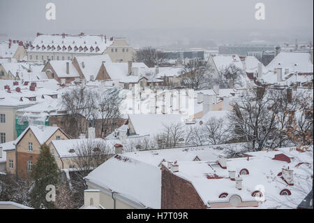 Tallinn, Estland, 8. November 2016.  Blick auf die Altstadt von Tallinn. Laut der Zeitung Postimees Vorsitzenden der fünf estnische Fraktionen nach einem Treffen am Dienstag Nachmittag eingeladen Premierminister Taavi Roivas, der Vorsitzende der Demokratischen Partei zum Rücktritt als Regierungschef am Mittwoch oder jeder anderen Form alle fünf Parteien werden kein Vertrauen in ihn. Estnische Ministerpräsident Taavi Roivas Gesichter Vertrauensvotum, nachdem Koalition am Montag Abend bricht zusammen. Bildnachweis: Nicolas Bouvy/Alamy Live-Nachrichten Stockfoto