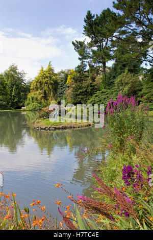 Marwood Hill Gardens liegt in einem Tal in der Nähe von Barnstaple, Devon, Großbritannien von Dr. Jimmy Smart VMH, MBE in den späten 50er Jahren erstellt Stockfoto