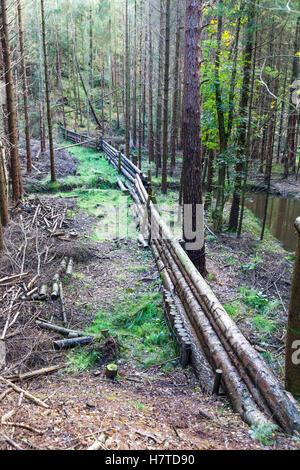 Woody-Trümmer Dämme für natürliche Flut Risikominderung, Pickering, England Stockfoto