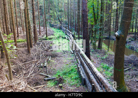 Woody-Trümmer Dämme für natürliche Flut Risikominderung, Pickering, England Stockfoto