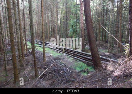 Woody-Trümmer Dämme für natürliche Flut Risikominderung, Pickering, England Stockfoto