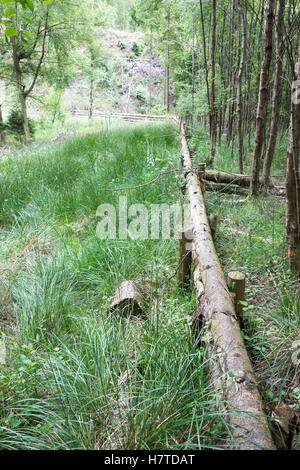 Woody-Trümmer Dämme für natürliche Flut Risikominderung, Pickering, England Stockfoto