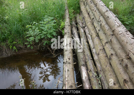 Woody-Trümmer Dämme für natürliche Flut Risikominderung, Pickering, England Stockfoto