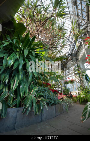 Der Eingang zum Palmenhaus Allan Gardens eine öffentliche Gewächshaus und tropischen Wintergarten in Toronto Ontario Kanada Stockfoto