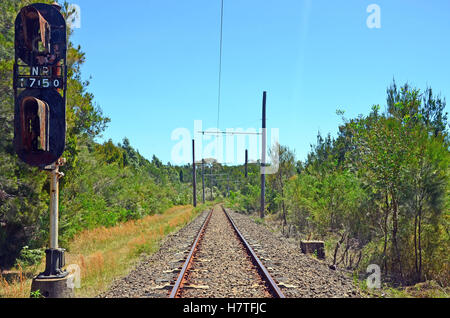 Verlassene Straßenbahnlinie mit alten rostigen Signalleuchten in der Nähe von Audley im Royal National Park, Sydney, Australien Stockfoto