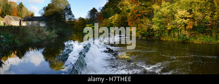 Cauld oder Wehr auf dem Fluss bis ein Nebenfluss des Tweed. Stockfoto