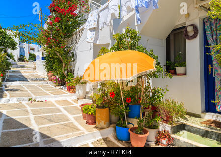 Sonne-Dach und Blumentöpfe vor einem griechischen typisches Haus in Naoussa Stadt auf der Insel Paros, Griechenland Stockfoto