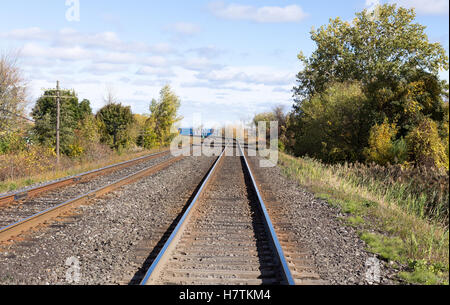 Schienen Sie, gesäumt von Bäumen führt Sie in die Ferne. Stockfoto