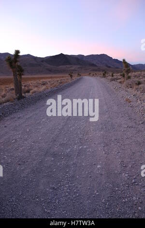 Weg zum Racetrack Playa, im Death Valley NP, Kalifornien, USA Stockfoto