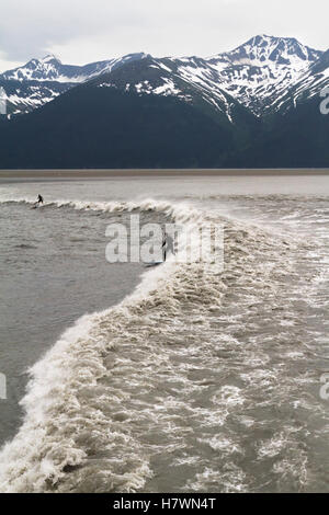 Surfer reiten eine großkalibrigen Flut im Turnagain Arm, Yunan Alaska, USA Stockfoto