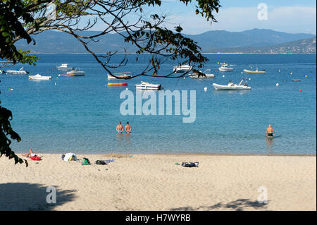 Schwimmer auf sandigen Portigliolo Beach von Belvédère-Campomoro, Korsika, Frankreich Stockfoto