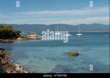 Die Bucht von Belvédère-Campomoro mit sandigen und felsigen Portigliolo Strand, Angeln, Boote und Genuese Turm, Korsika, Frankreich Stockfoto