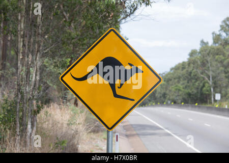 Känguru Schild Warnung Stockfoto