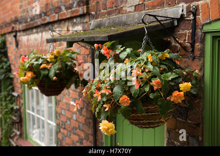 Großbritannien, England, Buckinghamshire, West Wycombe, Church Lane, Begonie Blumen im herbstlichen Blumen Blumenampeln vor Haustür Stockfoto