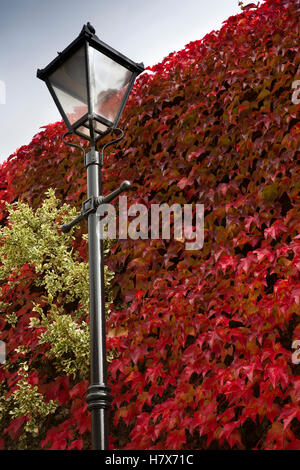 Großbritannien, England, Buckinghamshire, West Wycombe, Church Lane, Laternenpfahl gegen herbstliche Schlingpflanze Blätter Stockfoto