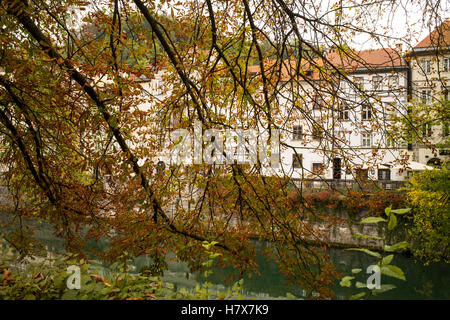 Herbstfarben am Ljublianica River Ljubljana, Slowenien Stockfoto