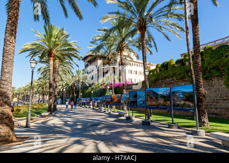 Spanien-23 Juni-Palma de Mallorca Straße. Palma De Mallorca Straße an einem sonnigen Tag auf dem Spaziergang über langsam Urlauber. Auf beiden Stockfoto