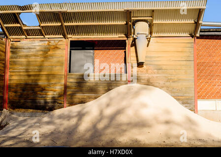 Industrielle Sägemehl Outlet in kleinen Sägewerk. Haufen von Sägemehl unter. Stockfoto