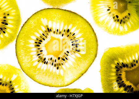 Kiwi FRUCHTSCHEIBEN Stockfoto