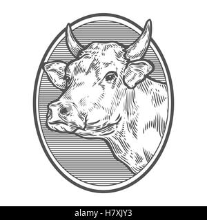 Kühe-Kopf-Porträt. Hand gezeichnete Skizze in einem Grafikstil. Vintage Vektor Illustration für Poster, Gravur Web. Isoliert auf whi Stock Vektor