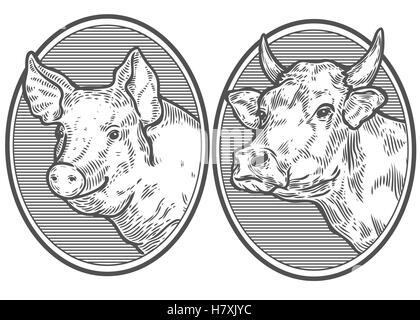 Kuh und Schwein Kopf. Hand gezeichnete Skizze in einem Grafikstil. Vintage Vektor Illustration für Poster, Gravur Web. Isoliert auf weiss Stock Vektor