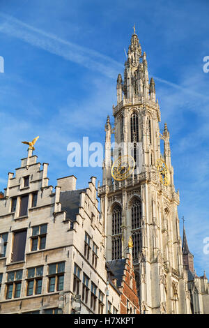 Onze-Lieve-Vrouwe Kathedrale, Antwerpen, Flandern, Belgien Stockfoto