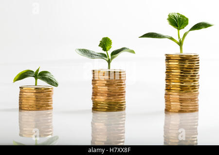 Nahaufnahme von einer Reihe von gestapelten Münzen (Spinner) auf einem weißen Hintergrund mit Sämlinge wachsen aus jeder Stapel, in der Größe mit jedem größeren Stack wächst Stockfoto