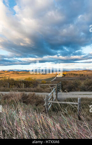 Prärie-Tor und big Sky in der Nähe von Longview; Alberta, Kanada Stockfoto