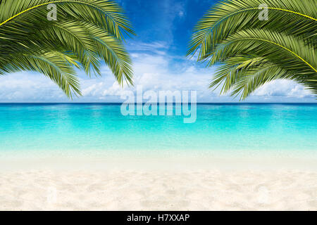Paradies-Strand-Hintergrund mit Kokospalmen Stockfoto
