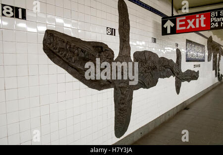 Der Bahnhof Wand am 81. und u-Bahn-Haltestelle Museum of Natural History in New York Stockfoto