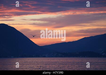 Sonnenuntergang mit Vogel fliegen in hoher Auflösung verfügbar und verschiedenen Größen entsprechend die Anforderungen Ihres Projekts Stockfoto