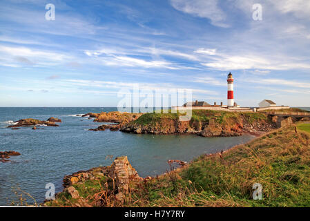 Eine Ansicht von Buchan Ness und der Leuchtturm am Boddam, südlich von Peterhead, Aberdeenshire, Schottland, Großbritannien, Europa. Stockfoto