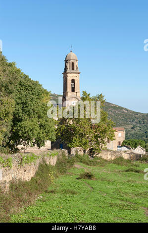 Église Saint-Nicolas, das Wahrzeichen Kirche von der kleinen Balagne Dorf Feliceto, Haute-Corse, Frankreich Stockfoto