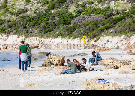 Stokes Bay Strand auf Nord Küste von Kangaroo Island, South Australia Stockfoto