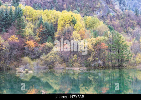 Blick auf den friedlichen See in Jiuzhaigou Nationalpark in der Provinz Sichuan, China im Oktober 2016 Stockfoto