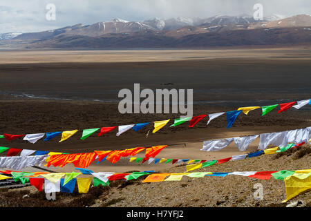 Bunte Gebetsfahnen, hinter Mt. Gurla Mandhata, 7728m, und der heilige Manasarovar See. Tibet, China. Stockfoto