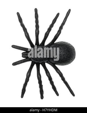 Draufsicht einer Plastikspielzeug Spinne isoliert auf einem weißen Hintergrund. Stockfoto