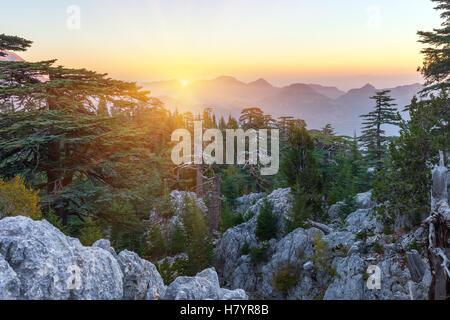 Schönen Sommerlandschaft in den Bergen. Stadtteil von Kemer, Provinz Antalya, Türkei. Stockfoto