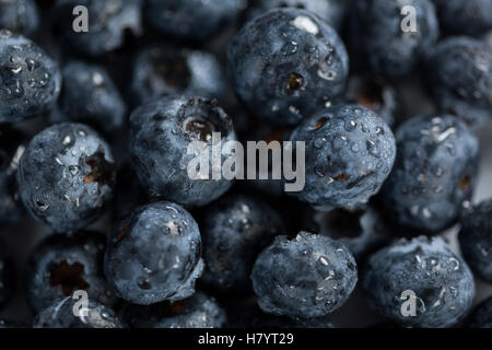 Nahaufnahme der frische Heidelbeeren mit Wasser Tropfen Stockfoto