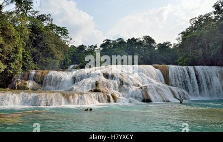 Cataratas de Agua Azul, blaues Wasser Wasserfälle, Rio Yax, Palenque, Chiapas, Mexiko Stockfoto