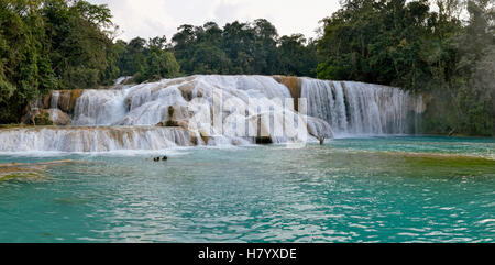 Cataratas de Agua Azul, blaues Wasser Wasserfälle, Rio Yax, Palenque, Chiapas, Mexiko Stockfoto